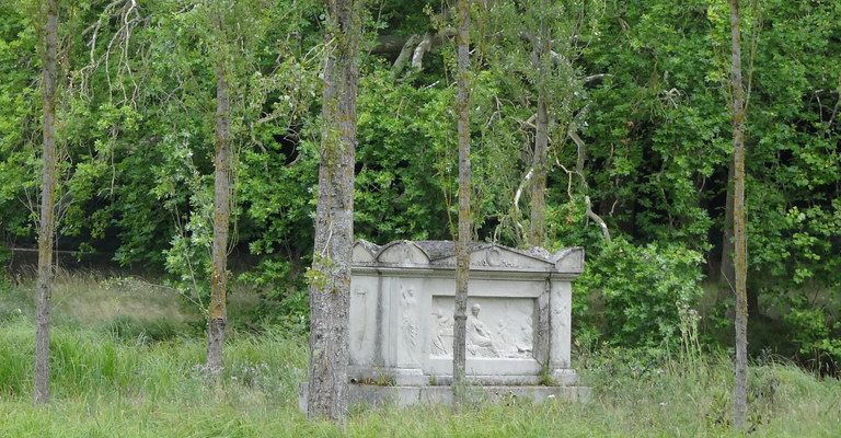 Droomtuinen: Van Basis Achtertuin naar Exotisch Paradijs!